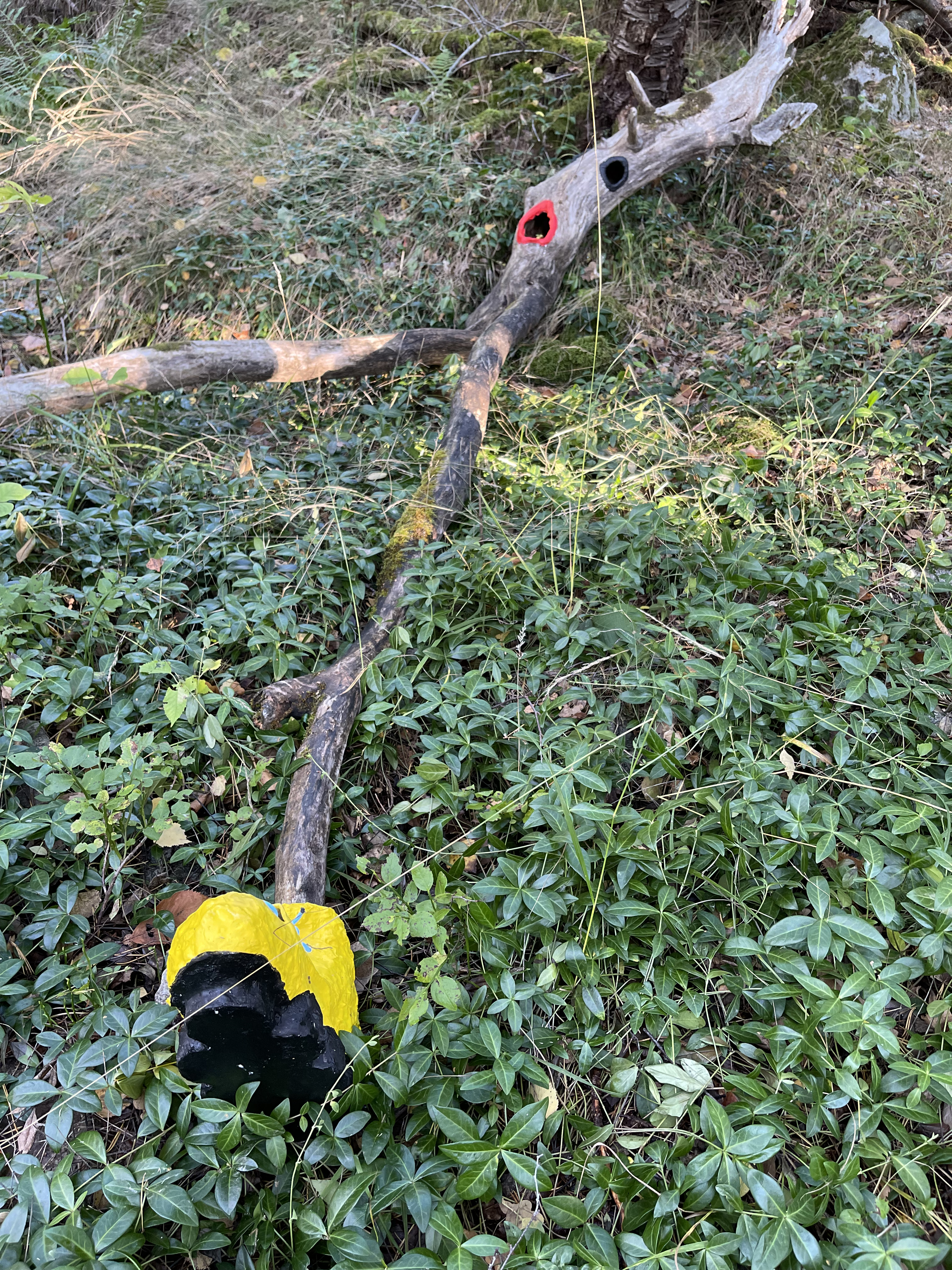 tree installation