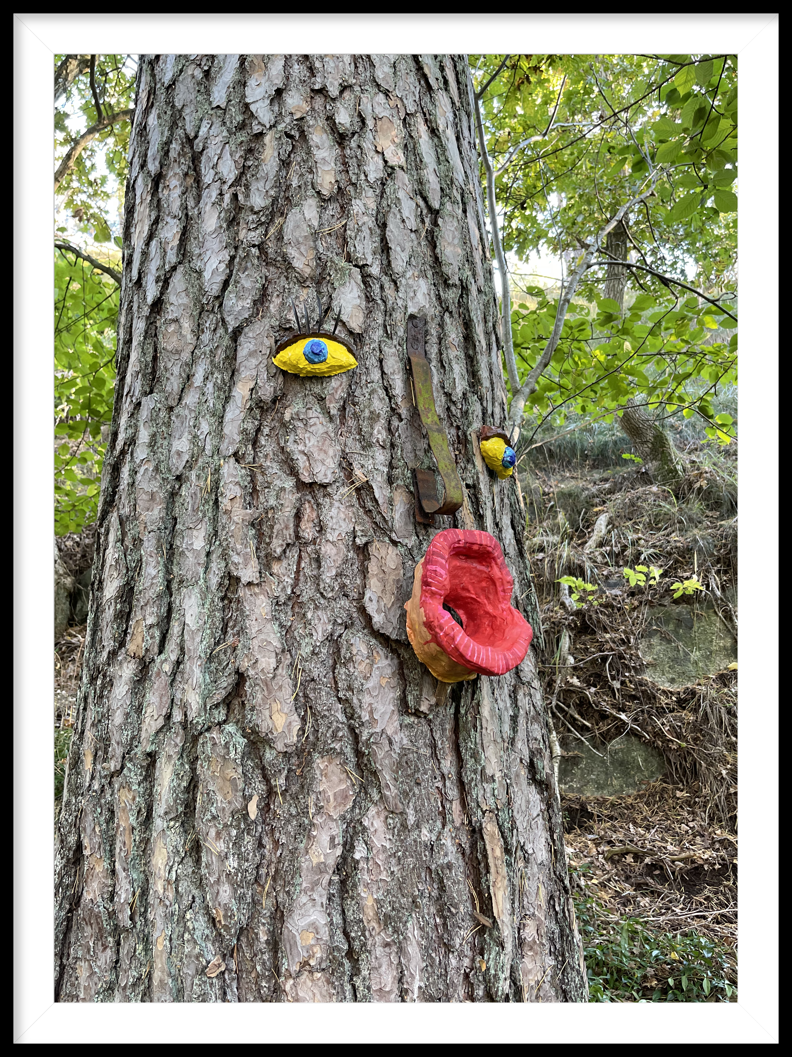 tree installation