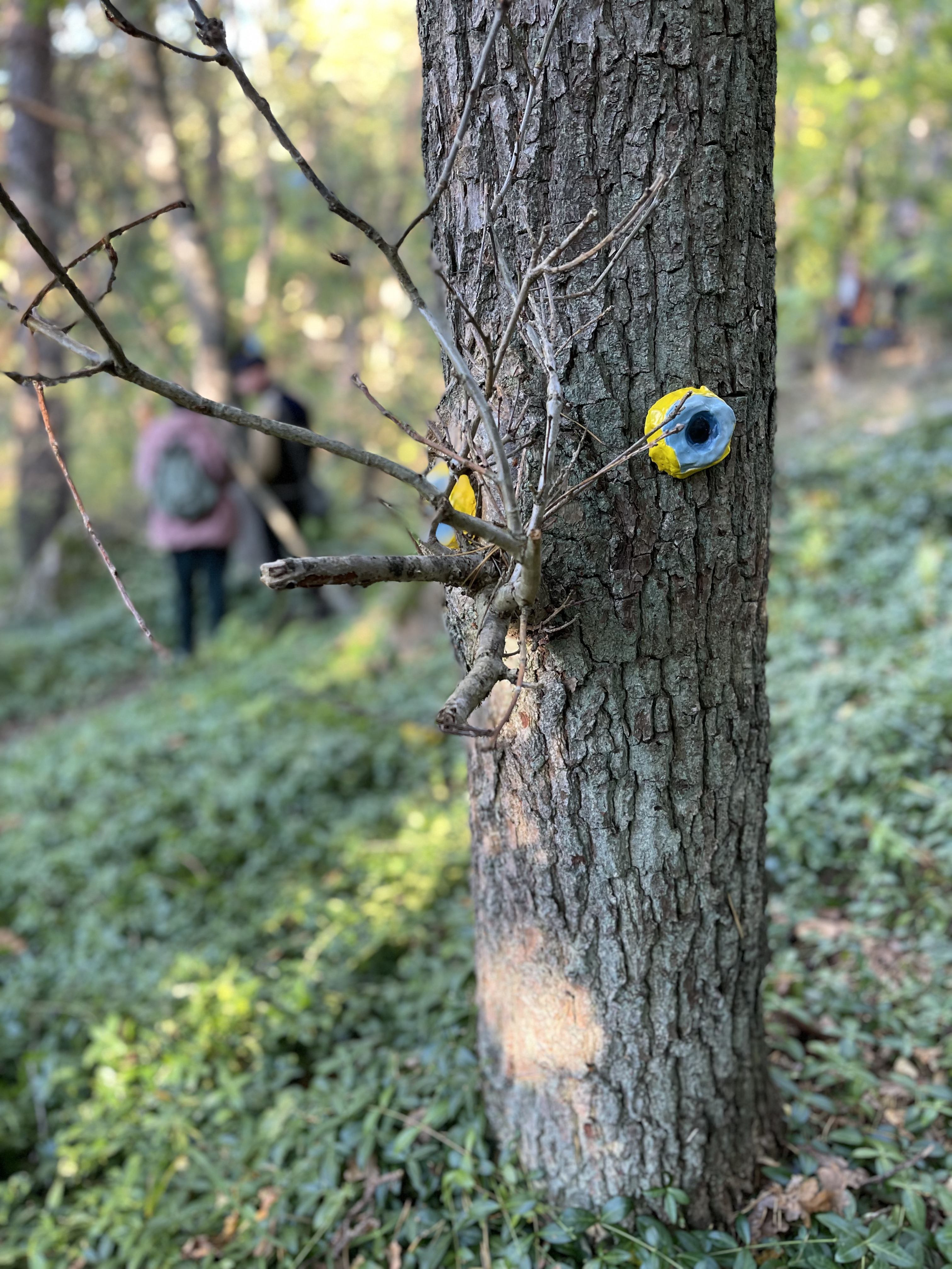tree installation